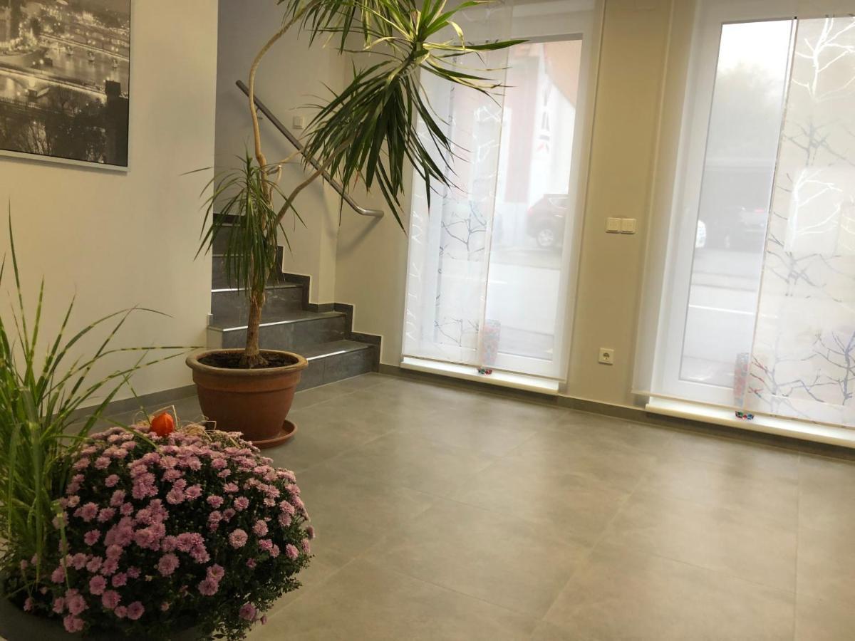 Gaestehaus Residenz Aurora Hotel Friedrichsthal Екстериор снимка